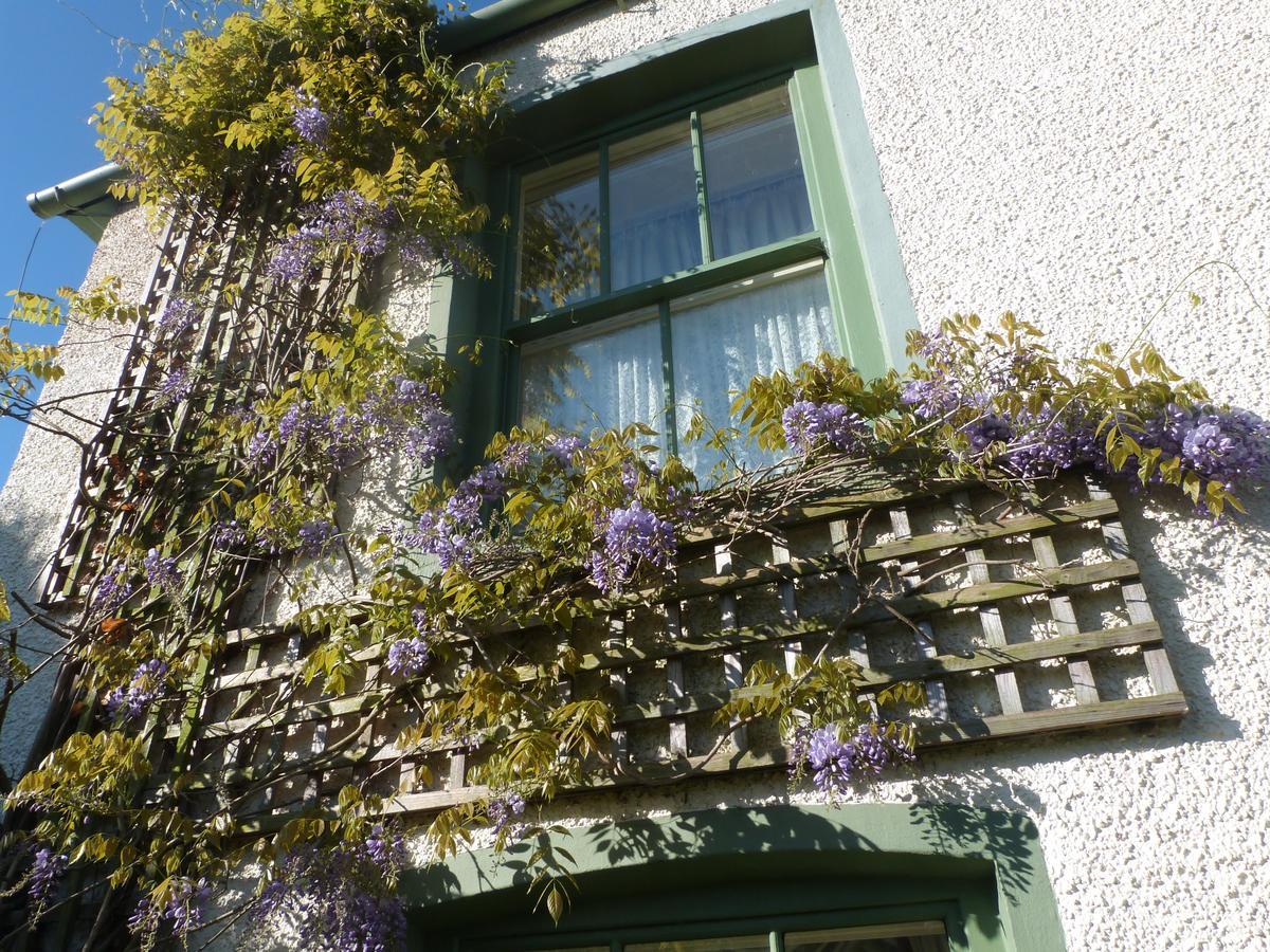 ロウィック・グリーン Pomona Bed & Breakfast エクステリア 写真